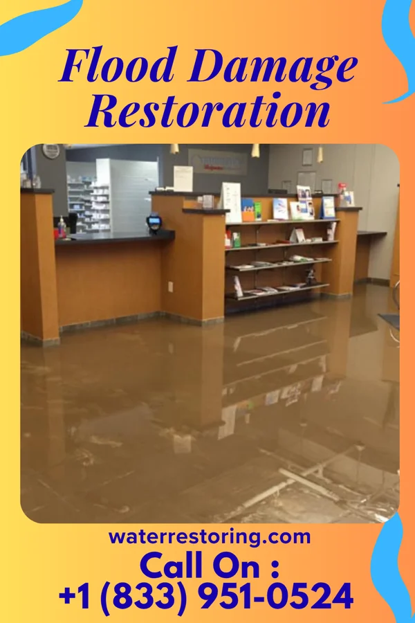 Flood Damage Restoration in Melwood, MD