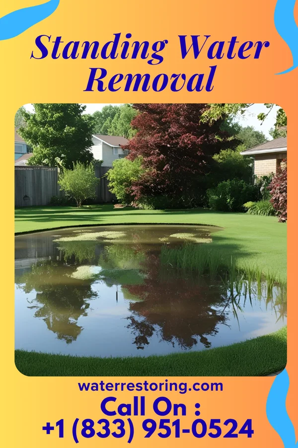 Standing Water Removal in Melwood, MD